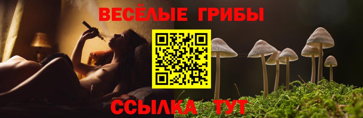 Псилоцибиновые грибы прущие грибы Ярославль